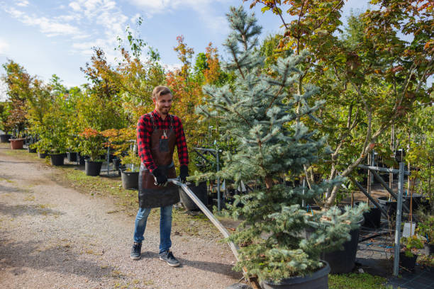 Best Fruit Tree Pruning  in Ridgebury, CT